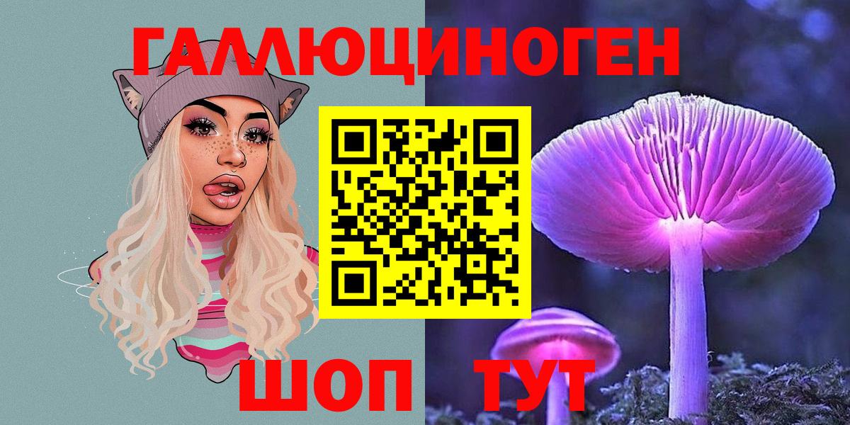 Королёв  Галлюциногенные грибы Psilocybe  Вход с VPN  Псилоцибиновые грибы прущие грибы 